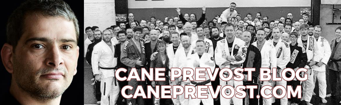 canes blogbanner1